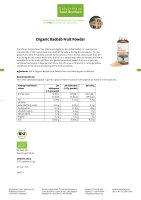 Organic Baobab Fruit Powder 160 g