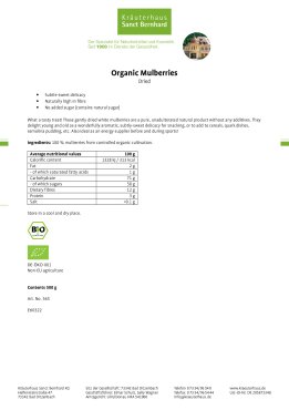 Organic Mulberries 500 g