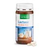 Lactase Capsules 14,000 FCC-units/capsule 150 capsules