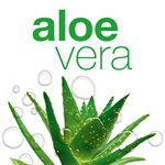 Aloe Vera Skin Care