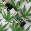 Organic Hemp Oil 250 ml