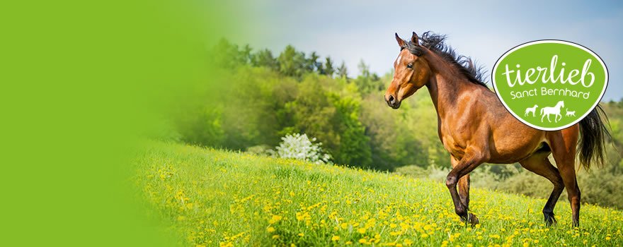 tierlieb for horses